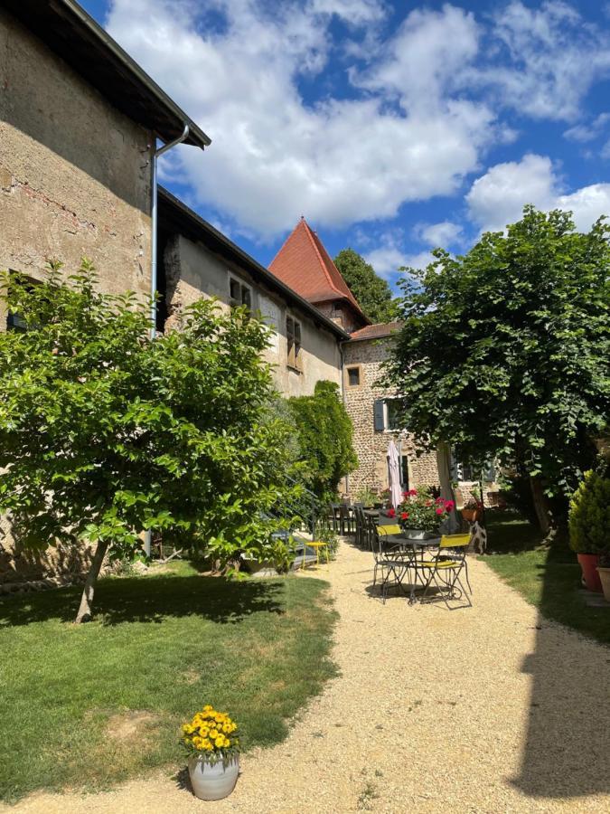 Chateau De La Saone Lens-Lestang Exteriér fotografie